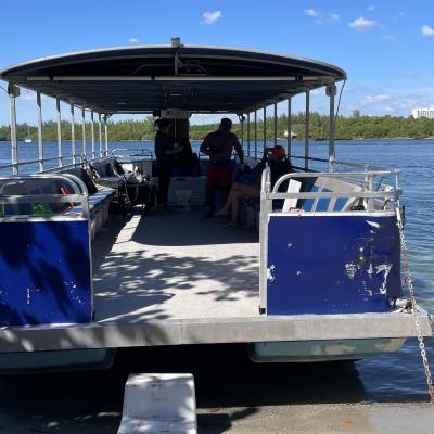 Racoon Island