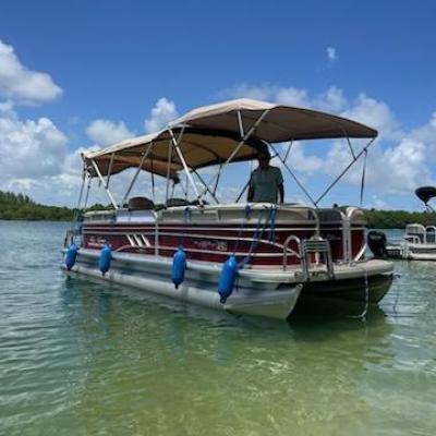 Racoon Island