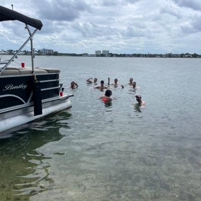 Racoon Island